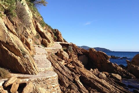 Privé Provence-uitje en wijnproeverij vanuit de cruisehaven van Toulon