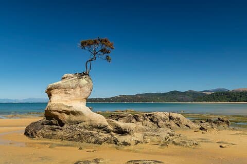 Abel Tasman Adventure Private Tour from Nelson Cruise Port