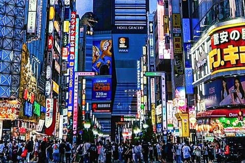 Tokyo City Tour in Shinjuku with Licensed Guide