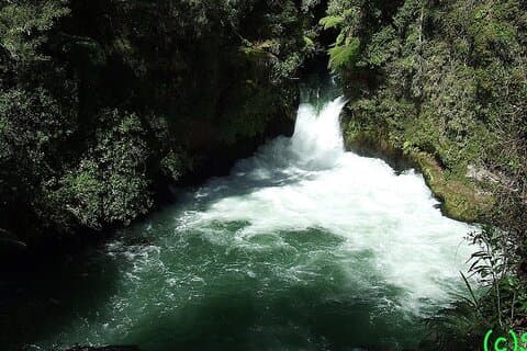 Ports of Tauranga/Rotorua/Tga - 6 Hours Rotorua Highlights Tour