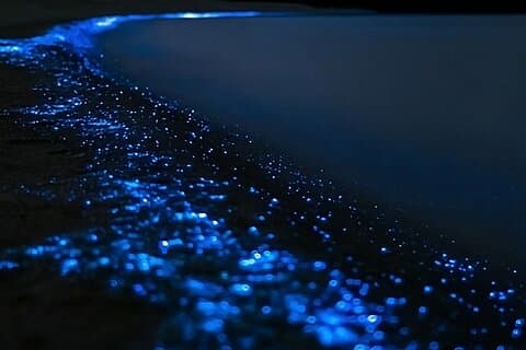 Biolumineszenz-Kajaktour – geschätzt. 1994