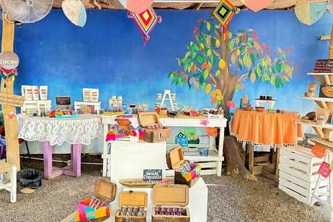 Taller de Cacao Todo Incluido