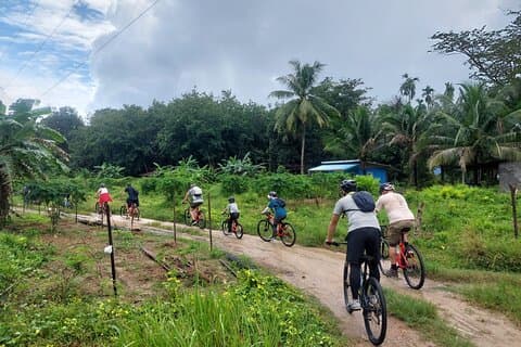 Khao Lak Waterfalls and Lakes Half Day Cycling Tour with lunch
