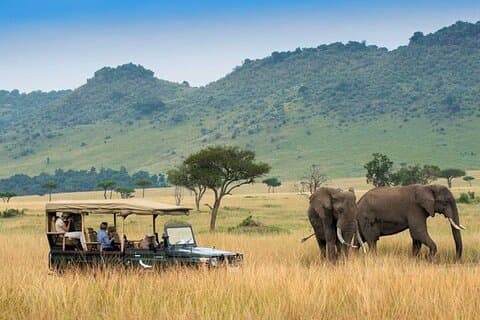 4day Maasai Mara, Lake Nakuru, and Lake Naivasha