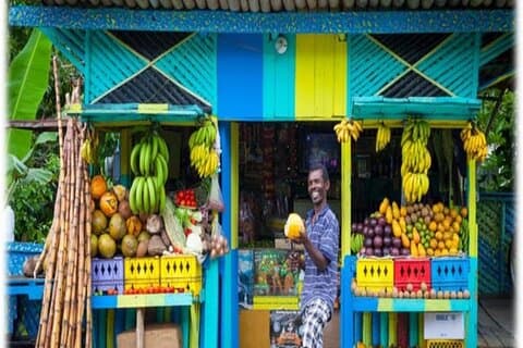 Tour de comida callejera en Montego Bay