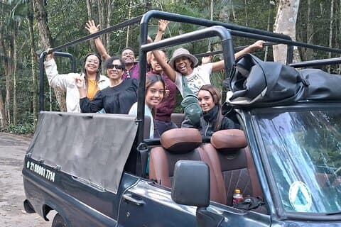 4x4 Nationalpark Tijuca Rio de janeiro