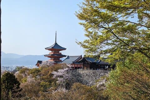 8-timmars privat rundtur i Kyoto