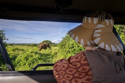 9 giorni Tanzania Big Five Safari e Zanzibar Beach Holiday