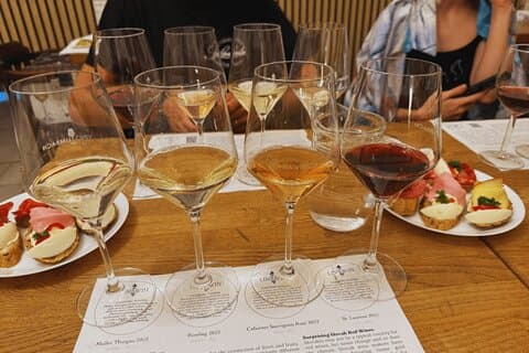 Bratislava vinsmaking i sentrum av byen