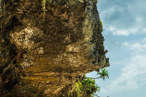 Zanzibar Tour em Praia Secreta, Kuza Cave e Jozani com transferência
