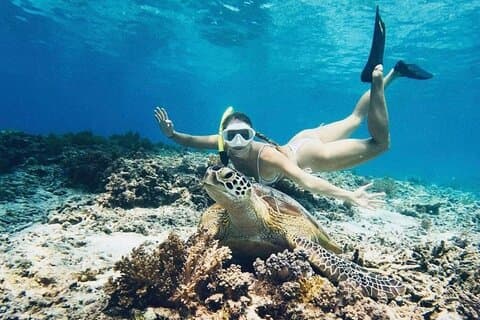 Gili Trawangan Snorkeling with Turtles & Underwater Statue