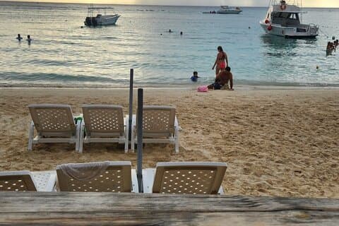 Monkey Sloth Chocolate Rum West Bay Beach mit Pool Island Tour