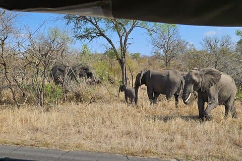 Privé Safari Tour Kaapstad Aquila