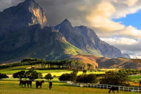 Visite personnalisable de Cape Winelands
