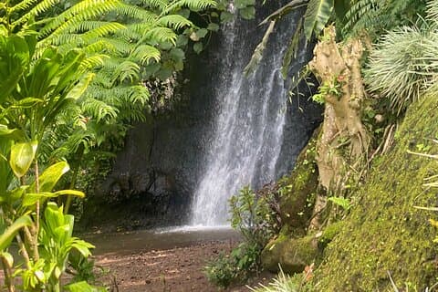 Descubriendo la isla de Tahití Nui