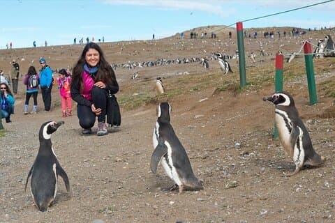 Halvdagstur til Isla Marta og Magdalena fra Punta Arenas