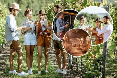 Queenstown Wine Tour + Wine Cave (Adults Only) Kiwi Host, Max 10