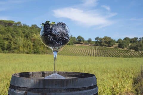 Exclusive Tuscan Pinot Noir, Land of Medici Family