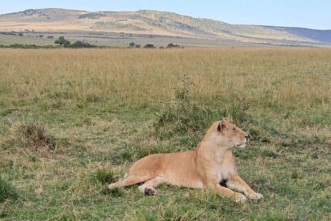 3 jours de visite de la réserve nationale de Samburu