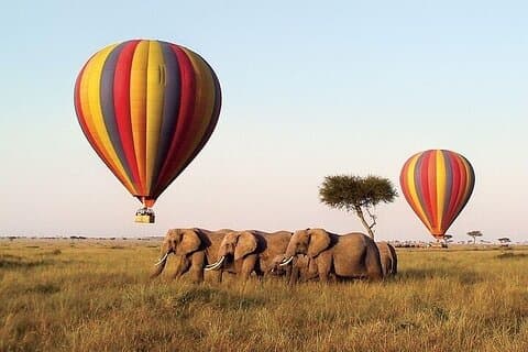 6 dagars gruppsafari i Mara, Nakuru och Amboseli, uppgraderade lodger