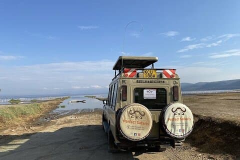 7 días de safari en grupo a Mara, Nakuru y Amboseli en albergues de gama media