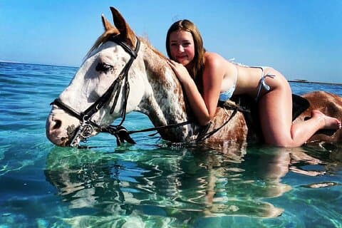 Svømning ved hest 3 timer,strand, ørken, overførsel - Hurghada