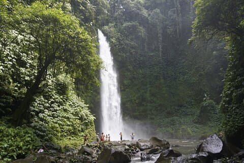 Bali Private Tour Nung-Nung Wasserfall und Tanah Lot Tempel