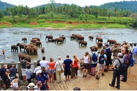 From Colombo: Overnight Tour to Kandy and Transfer to Sigiriya