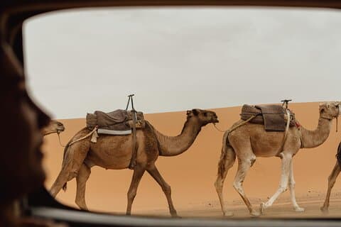 Marrakech To Merzouga Tour