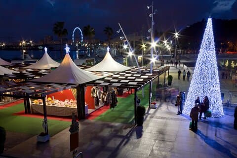 Luces festivas de Málaga : Un recorrido privado a pie por Navidad