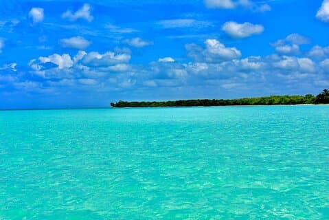 Isla Saona de día completo con traslado todo incluido y ida y vuelta
