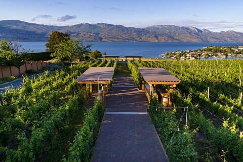 Privata vingårdstur i Kelowna