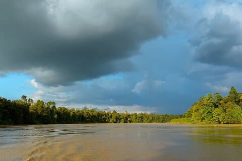 Kinabatangan Wildlife River Cruise Excursion de 3 jours