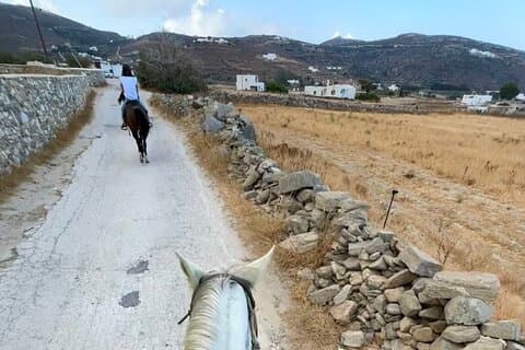 Ontwaken naar Paros: Een schilderachtige ochtend paardrijden