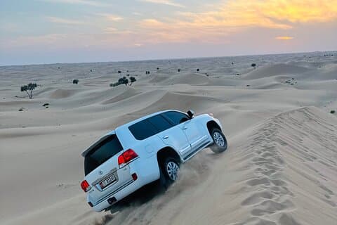 Abu Dhabi: Desert Safari with Sandboarding, Camel Ride & BBQ