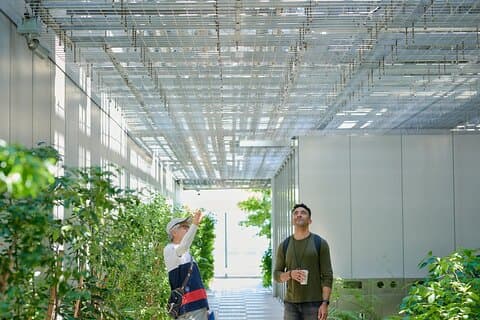 Liten gruppe arkitektur tur i Ginza, Tokyo