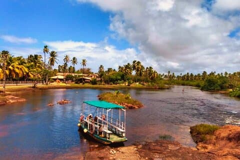 Tour in Itacimirim and Imbassaí - The Wonders of the Coast