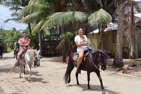 Roatan Horseback, Wildlife & Snorkel Combo