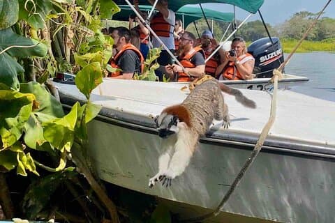 Experiência na Ilha Mono