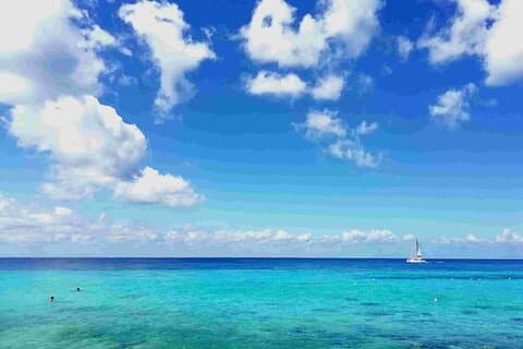 Tour da Ilha de Cozumel: Ruínas maias, recifes e praia Escape