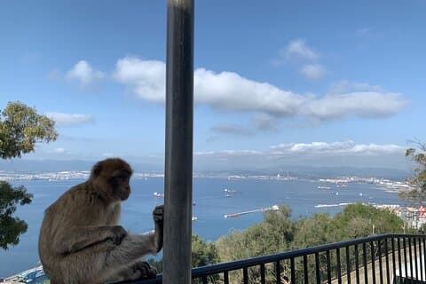 Visite guidée à Gibraltar depuis la Costa del Sol