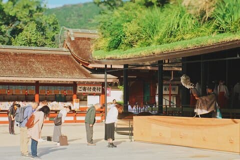 Morgenrensningsritual ved Dazaifu Tenmangu med togtur