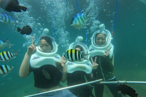 Full-day Cham Islands Cruise from Hoi An with Underwater Walking Excursion
