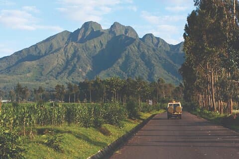Gorilla Trekking Rwanda – The Perfect One-Day Escape