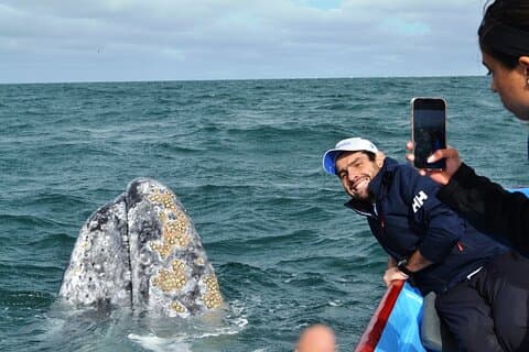 Gray Whale Watching in Bahia Magdalena