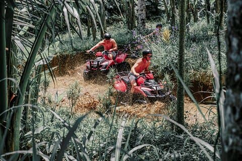 Ubud ATV fyrhjuling med Gorilla Cave och risterrass
