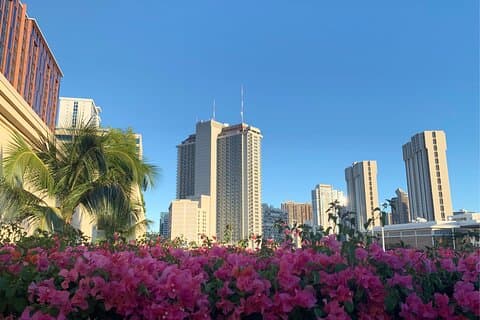 Honolulu Scavenger Hunt & Self-Guided Audio Walking Tour