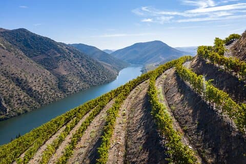 Feel Douro Tour