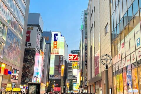 Akihabara Tour with Anime and Video Games Otaku Licensed Guide