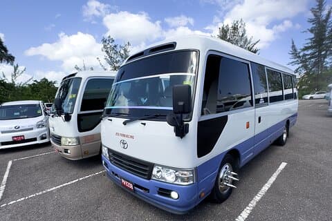 Tour en grupo de compras y recuerdos por la ciudad de Montego Bay